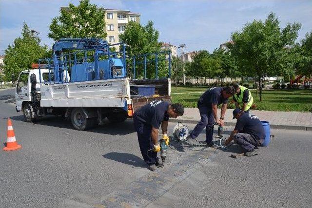 Yeni Kasisler Monte Edildi