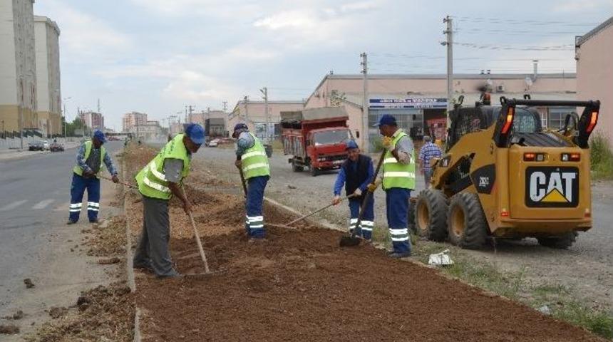 Orta Ref&uuml;jler Ağa&ccedil;landırılıyor