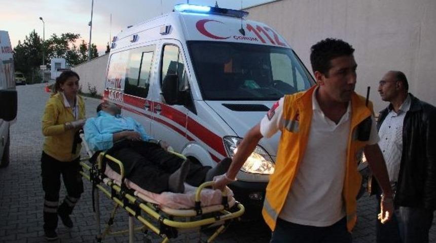 Elektrik Tellerine Takılan Elbise Canından Ediyordu