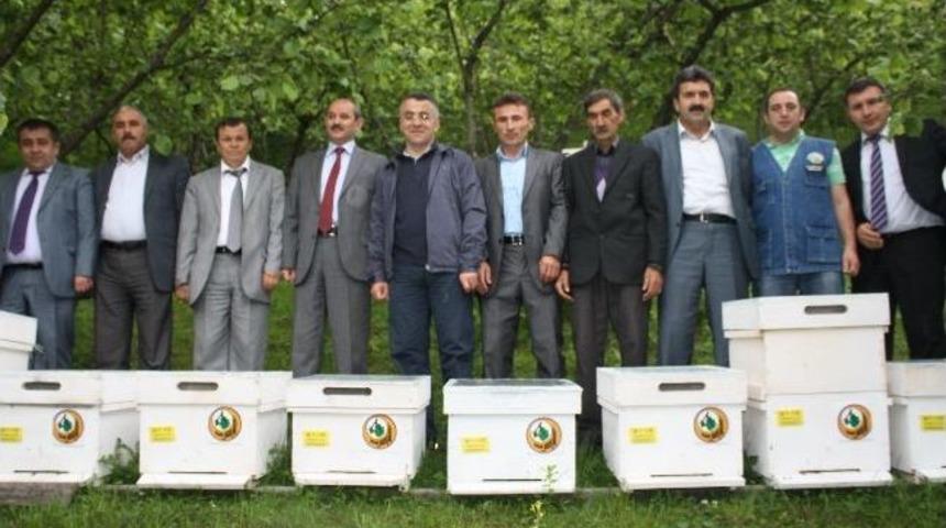 &Ccedil;ift&ccedil;ilere Bin 420 Adet Arılı Kovan Dağıtıldı