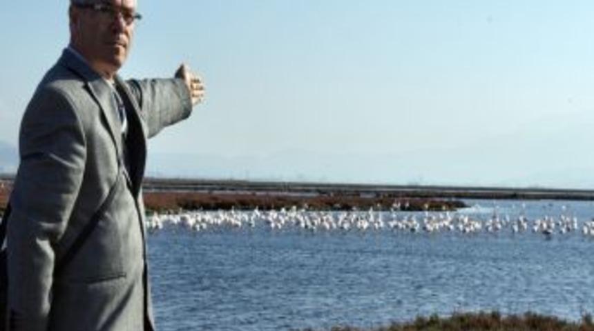 Prof. Dr. Sıkı: İzmir'e Milli Park Yakışır