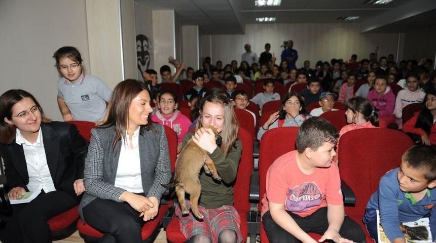 İlk&ouml;ğretim &Ouml;ğrencilerini, Hayvanları Tanıdı