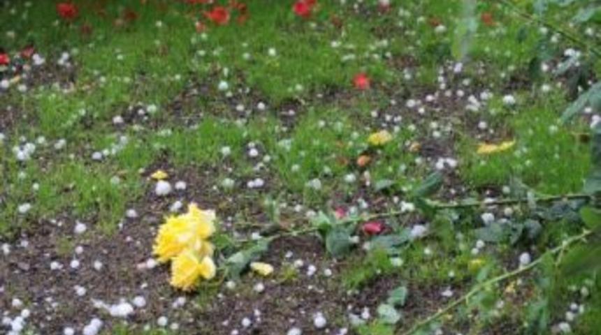 Dolu zarar tespiti &ccedil;alışmaları s&uuml;r&uuml;yor