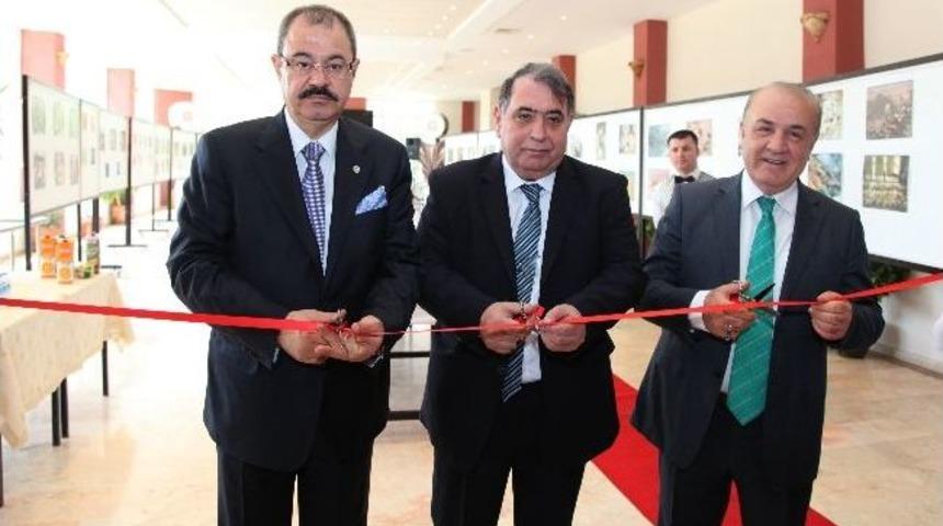 Ga&uuml;n&rsquo;de Irak Başkonsolosluğu Tarafından Sergi A&ccedil;ıldı