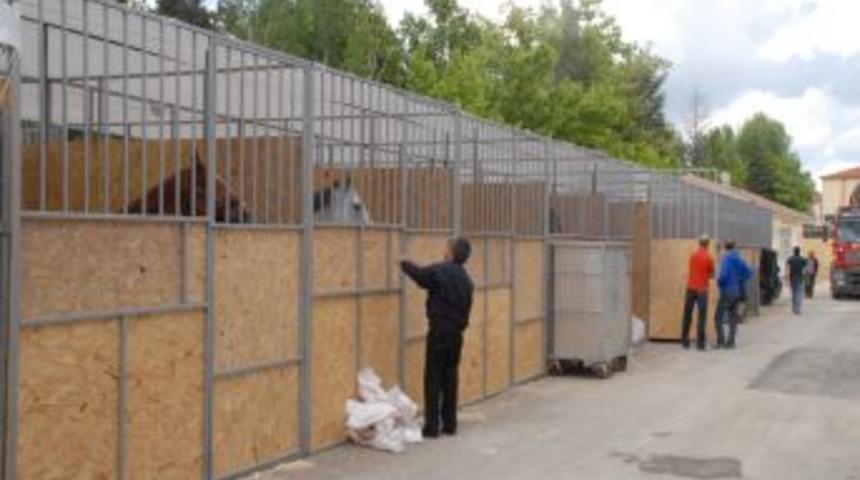 Kayseri'de Binicilik Heyecanı