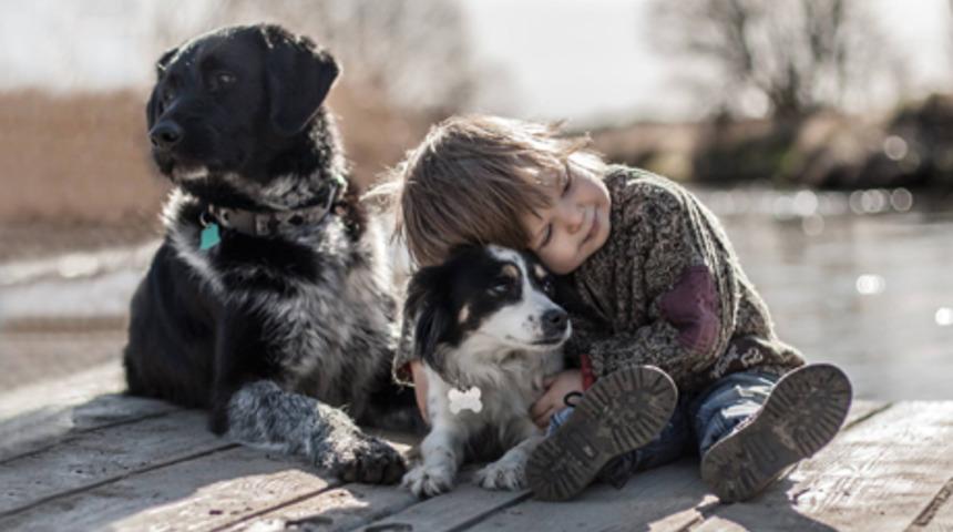 &Uuml;&ccedil; kafadarın arkadaşlığı kalbinizi ısıtacak