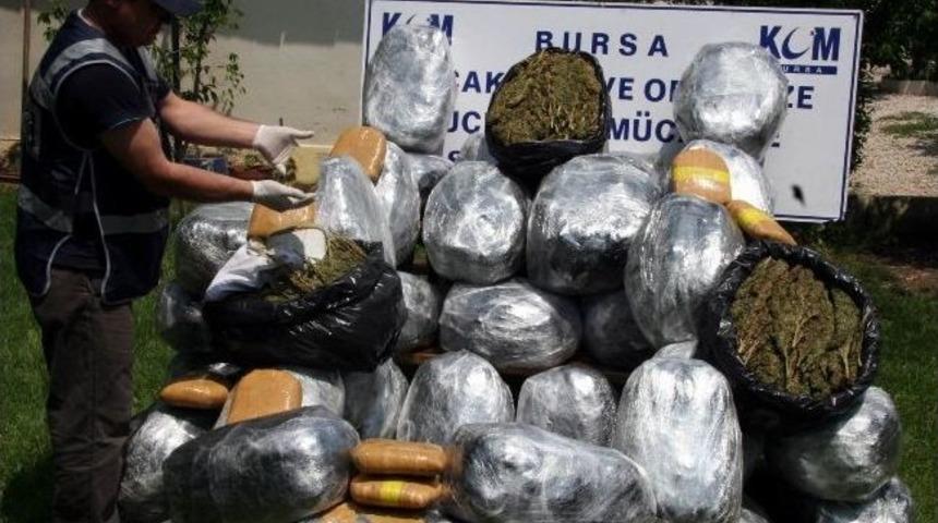 Bursa'da 250 Kilo Esrarla Yakalanan 3 Kişi Tutuklandı