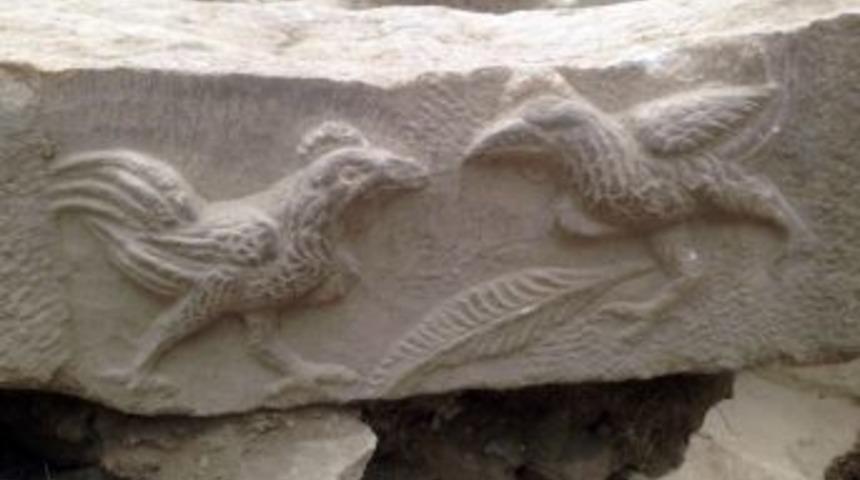 Denizli&rsquo;de Bin 900 Yıllık D&ouml;v&uuml;şen Iki Horoz Kabartması Bulundu