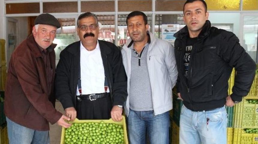 Erik Altın Yılını Yaşadı