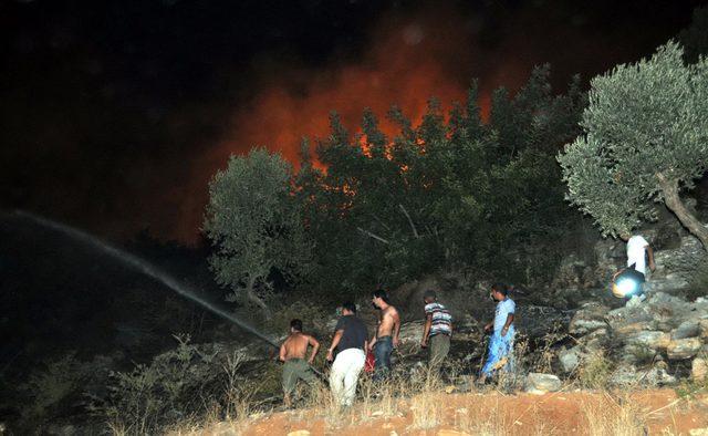 Bodrum'da yangın: 3 hektar makilik ve tarım arazisi zarar gördü