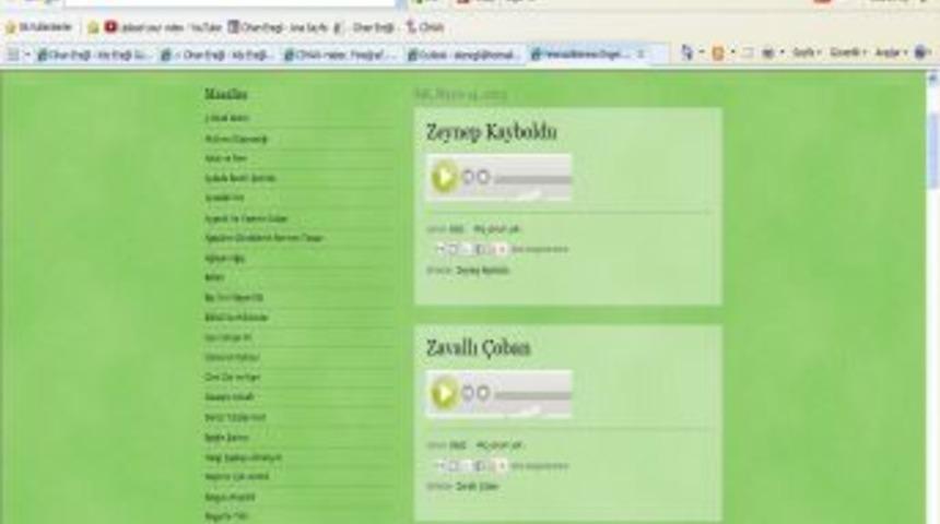 G&ouml;rme Engeliler I&ccedil;in, Sesli Web Sitesi Kurdular