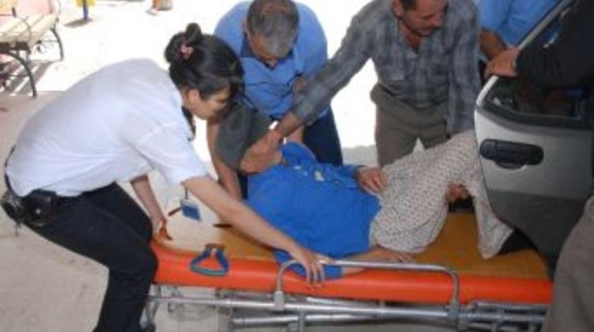 Ke&ccedil;i Otlatırken Kayalıklardan D&uuml;şt&uuml;