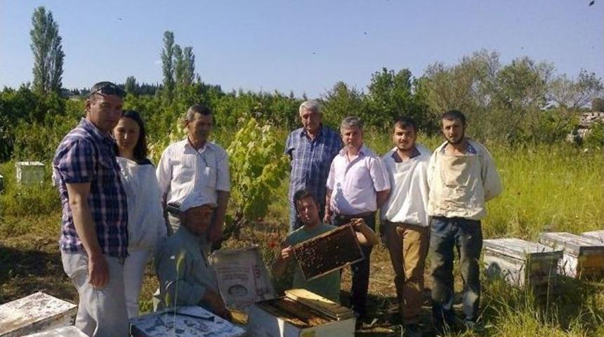 Lapseki&rsquo;de Uygulamalı Arcılık Eğitimi