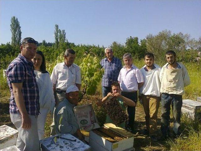 Lapseki’de Uygulamalı Arcılık Eğitimi