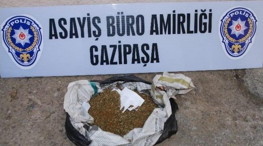 Seraya Kenevir Baskını