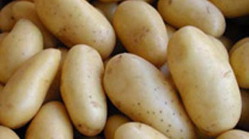 Patates nasıl pişirilmeli?