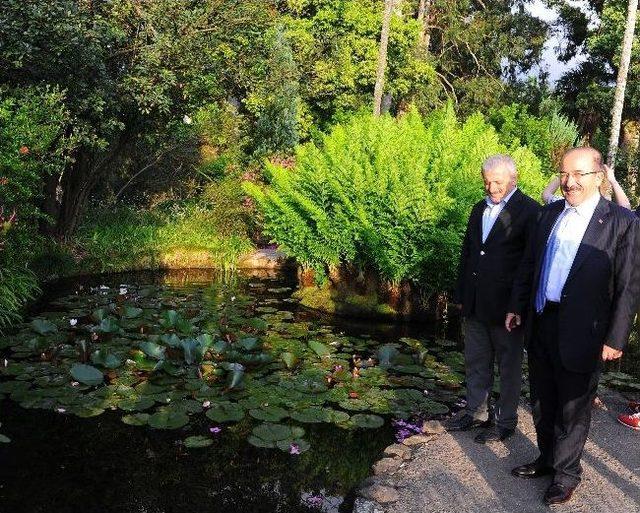 Trabzon’a ‘botanik Park’ta Batum Örneği