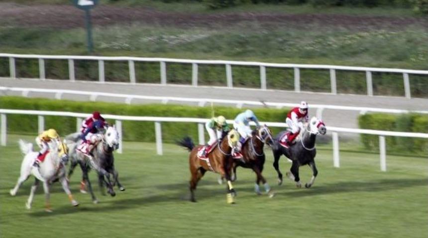 Hasan Tahsin Kupası Koşusu Yapıldı