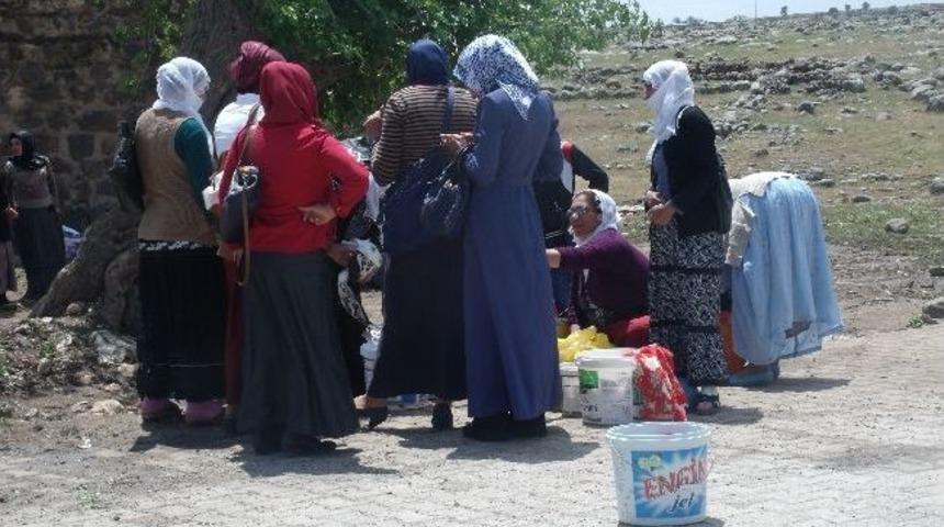 Peynir Satarak Aile Ge&ccedil;imine Katkı Sağlıyor