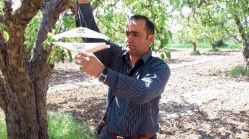 Beyşehir&rsquo;de Tarım Alanlarında Karaleke Alarmı