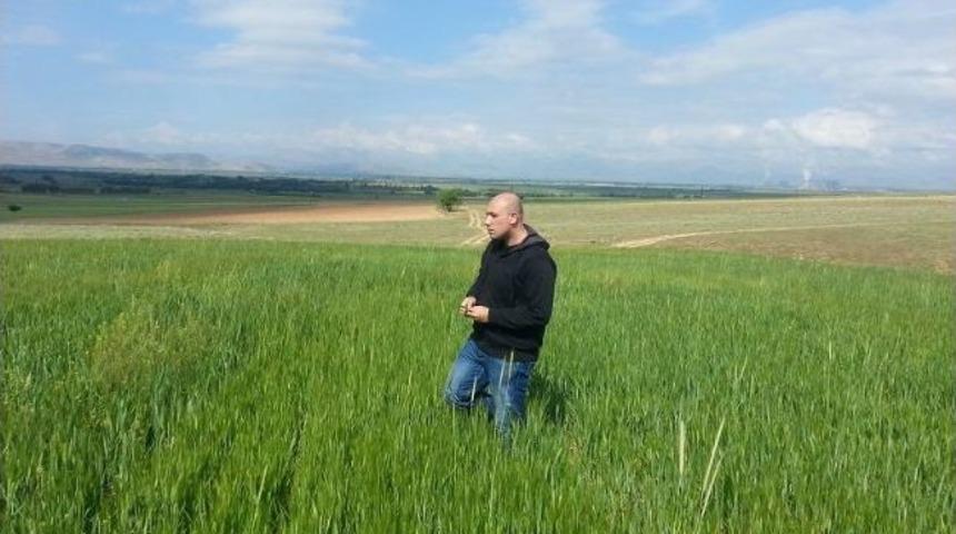 Elbistan'da S&uuml;ne M&uuml;cadelesi