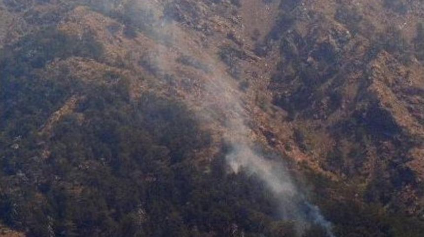 Dalaman'da Orman Yangını