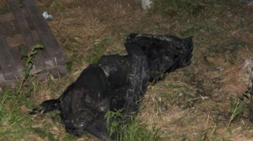 Babasının cesedini &ccedil;alıştığı yerde buldu