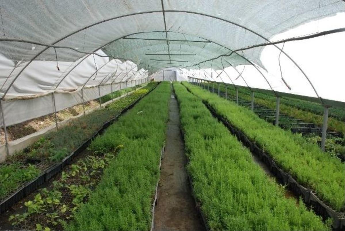 T&uuml;rkiye&rsquo;nin Fidanı Torbalı&rsquo;dan