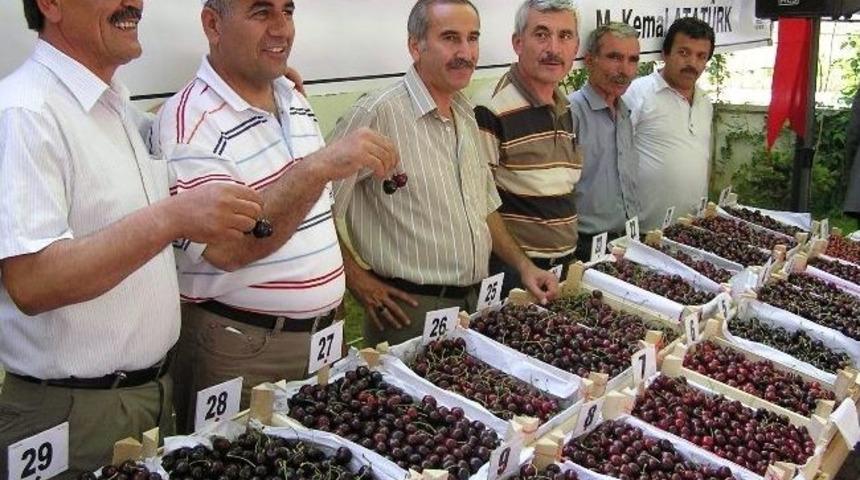 Yeşilyurt Kiraz Şenliği 22-23 Haziran&rsquo;da