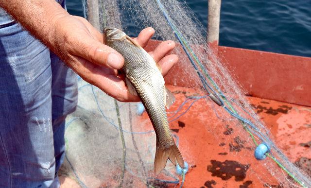 Yasak bitti, balıkçılar Van Gölü'ne ağlarını attı