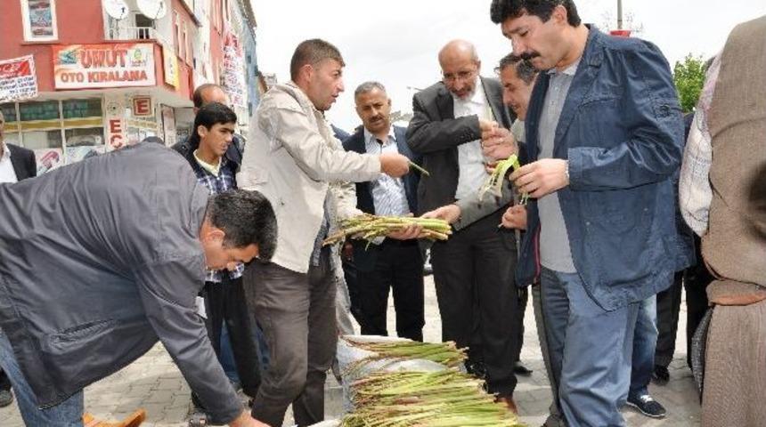 Akil İnsanlar Muş&rsquo;ta Esnaflarla Bir Araya Geldi