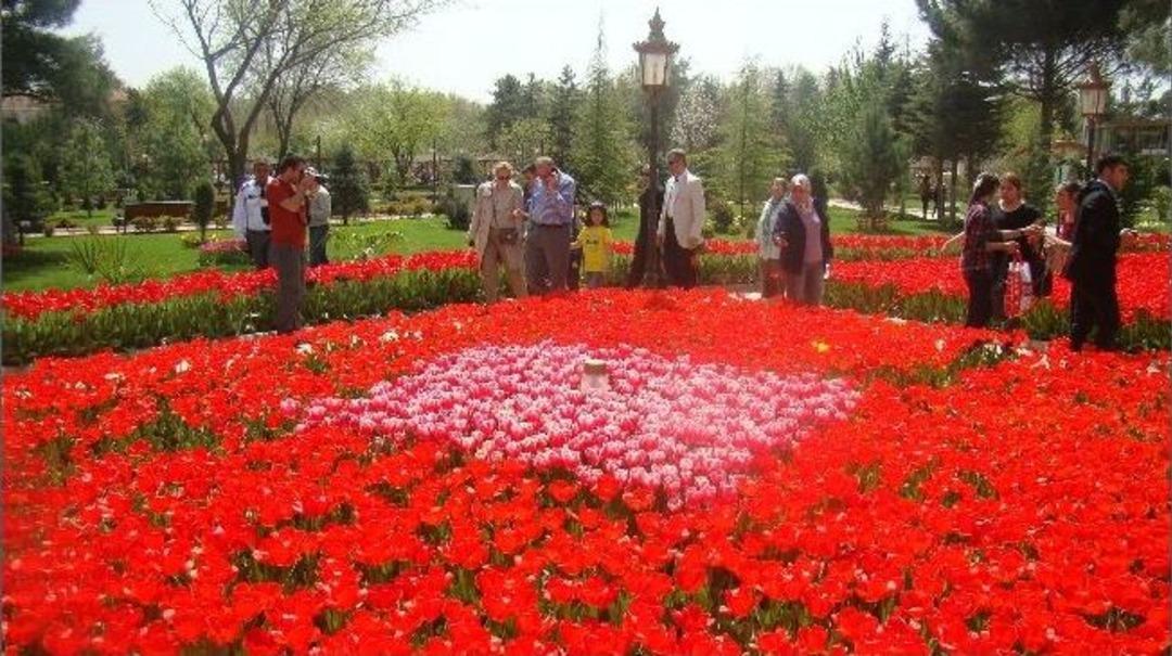 Mezarlıkları, Laleler S&uuml;sleyecek