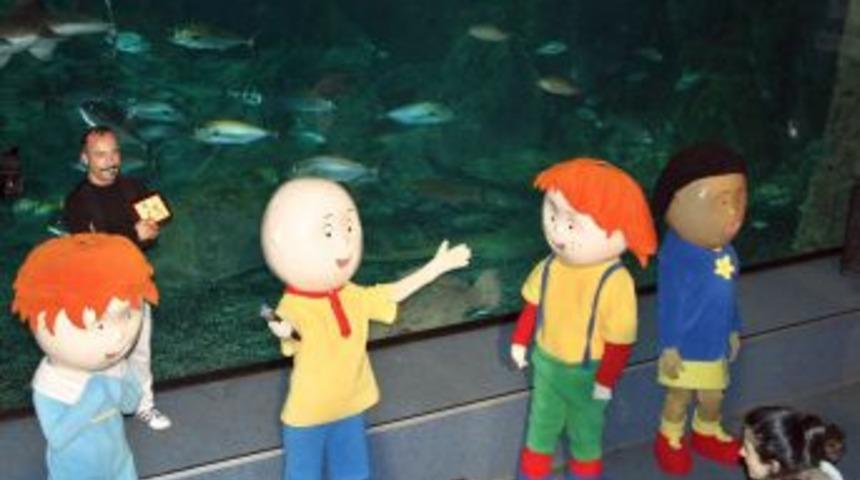 Caillou, K&ouml;pek Balıklarıyla Y&uuml;zd&uuml;
