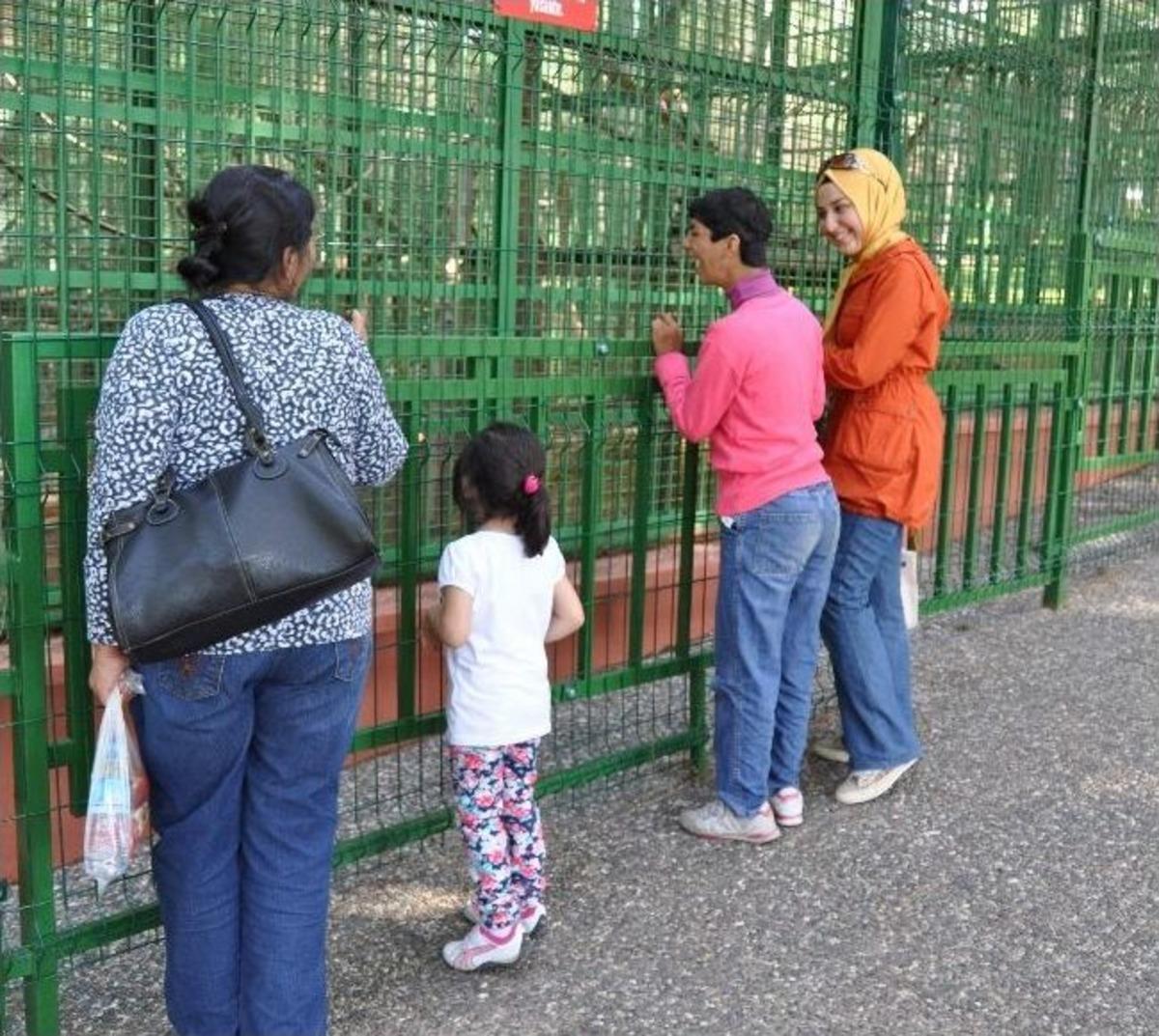 Engelli Vatandaşlar, &lsquo;engelsiz Bir G&uuml;n&rsquo; Yaşadı