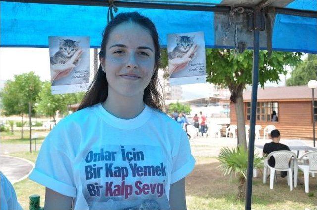 Kozan&rsquo;da Sokak Hayvanları İ&ccedil;in Kermes D&uuml;zenlendi 1