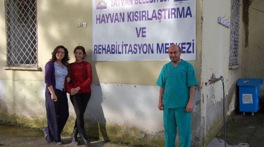 Tatvan&rsquo;da Sokak Hayvanları Tedavi Ve Kısırlaştırma Merkezi Kuruldu