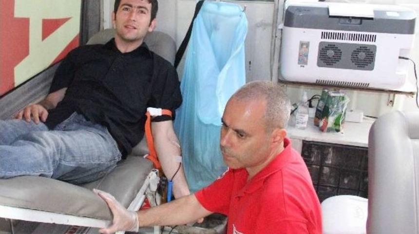 Kan Verin Hayat Verin