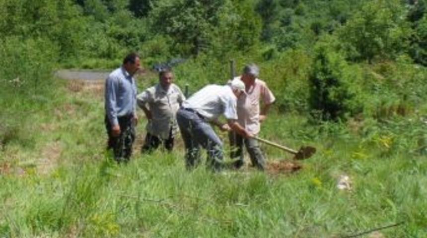 Tarihi Mezarlığı Koruma Altına Aldırıyor