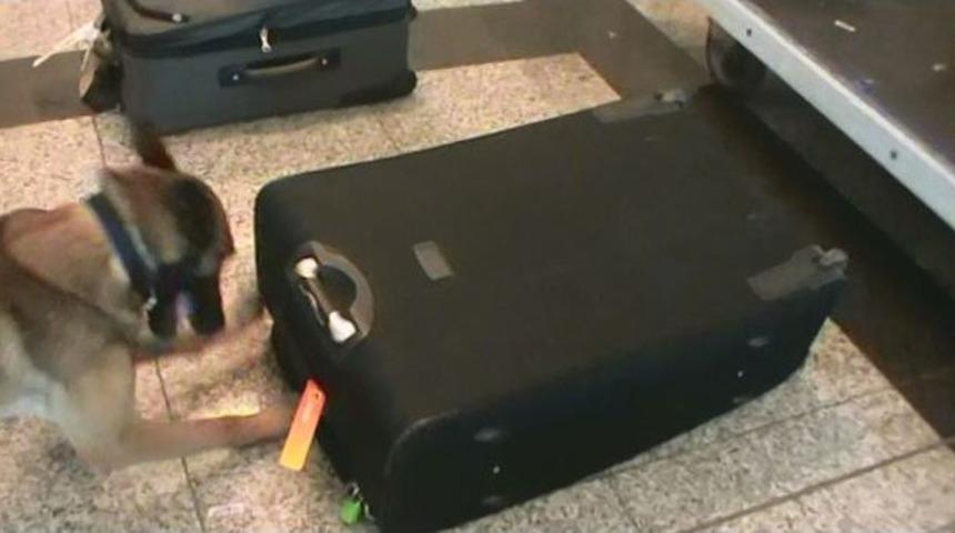 Havalimanında Elbiselere Emdirilmiş 13 Kilo Kokain Ele Ge&ccedil;irildi