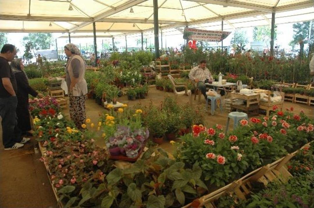 &Ccedil;i&ccedil;eği Seven Bu Festivali Ka&ccedil;ırmasın