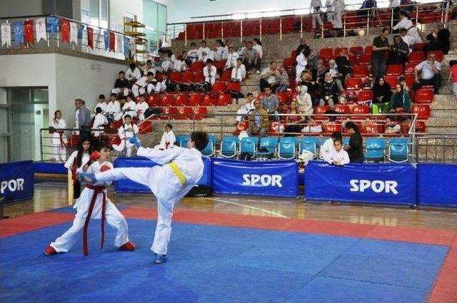 Düzce’de 19 Mayıs Karate Turnuvası Sona Erdi