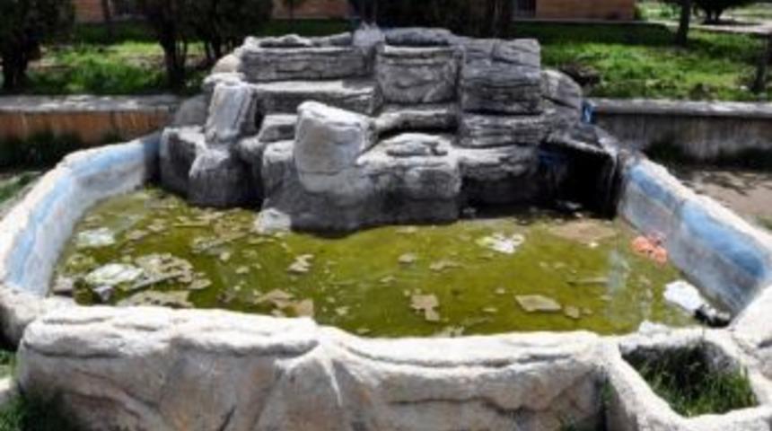 S&uuml;s Havuzu &Ccedil;&ouml;p Kutusu Oldu