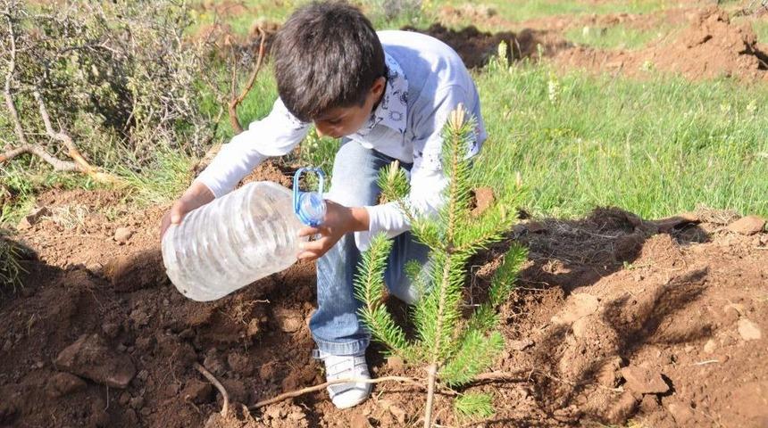 Hami-Yet Anneleri, Vefat Etmiş Eşleri I&ccedil;in Fidan Dikti