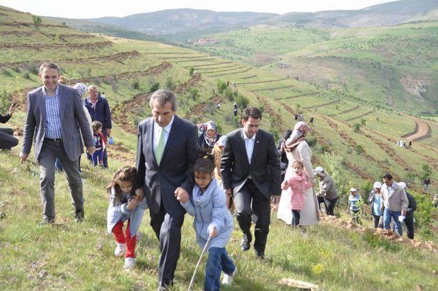 Hami-Yet Anneleri, Vefat Etmiş Eşleri I&ccedil;in Fidan Dikti 1