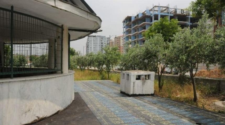 Manisa'da Camilerde &Ccedil;evre D&uuml;zenleme &Ccedil;alışmaları