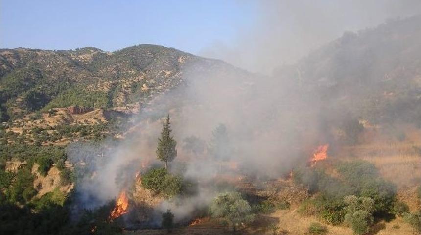 Tarım Arazisinde &Ccedil;ıkan Yangın Korkuttu