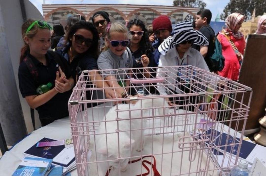 Anadolu K&uuml;lt&uuml;rleri Ve Yemek Festivali Sona Erdi