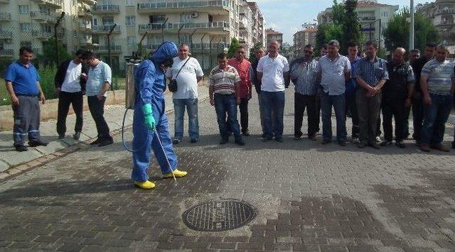 Aydın’da Biyosidal Ürün Uygulama Tatbikatı Yapıldı