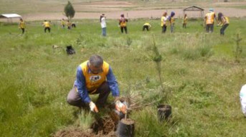 TEMA, Turanlı K&ouml;y&uuml;ne Fidan Dikti
