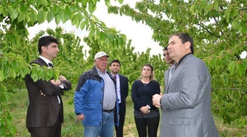 Darboğaz Kasabasında Hedef &Ccedil;in